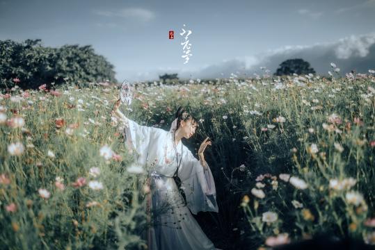 清炖羊排正宗的做法(清炖羊排怎么做好吃)