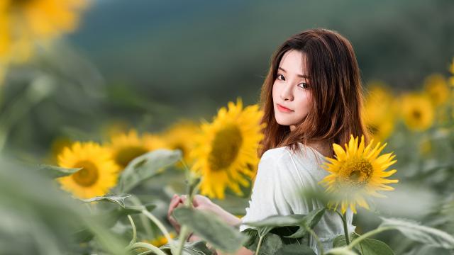 猴头菇有什么营养价值(猴头菇营养价值)