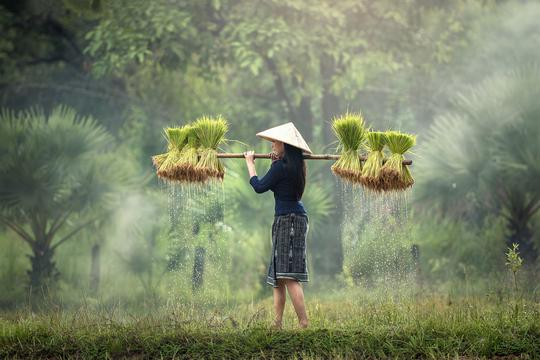 暖胃又暖心的羊肉粉丝汤，简单好做！