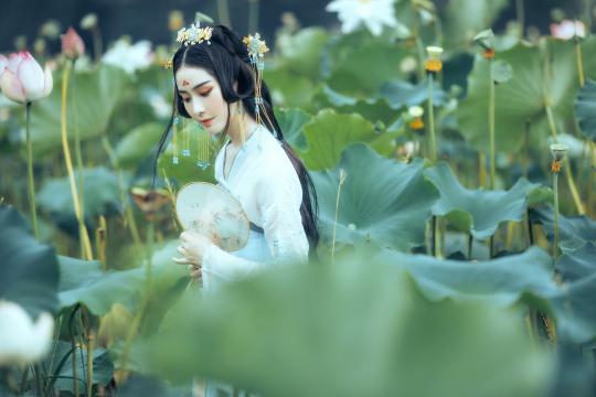 柠檬云财务软件怎么建账套(柠檬云出纳模块怎么用？)