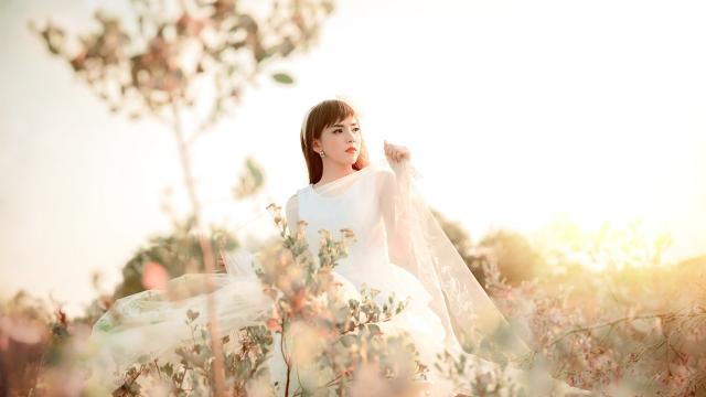 灵芝与什么煲汤好(灵芝的功效与作用煲汤)