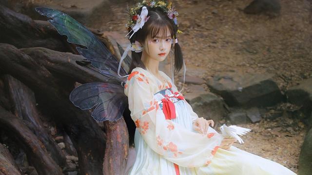 海参的界限在哪里？掌握泡发技巧，让半干海参变“嫩”！