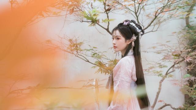 东北榛蘑炖鸡的做法窍门(白灵菇炖鸡腿的家常做法？)