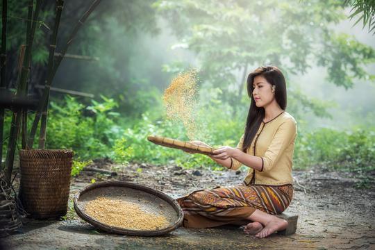 如何在学生食堂里享受美食？看这个菜谱大全！