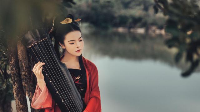 炖甲鱼汤加什么材料好(甲鱼汤怎么炖补肾效果好炖甲鱼汤加什么材料好)