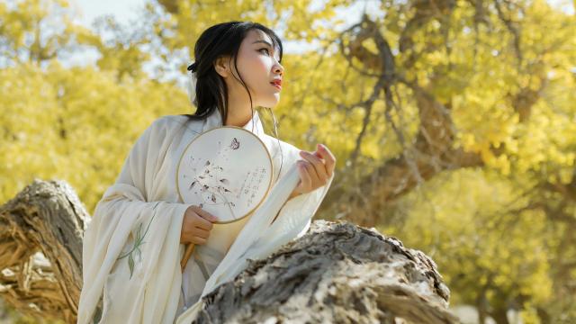 四喜丸子汤怎么做好吃(白菜四喜丸子汤家常做法？)