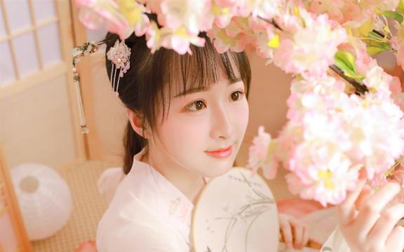 黄米粽子与传统粽子哪种口感更特别？