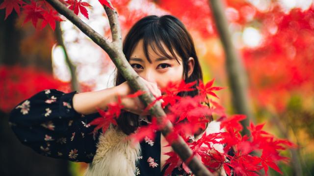 乡村风味小炒肉加入晒干黄花菜，犯罪现场抓住你的味蕾