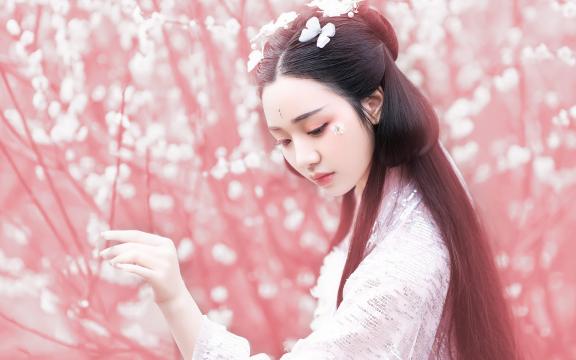 东奔西顾的全部作品(东奔西顾的小说主角叫唐恪的吗？)