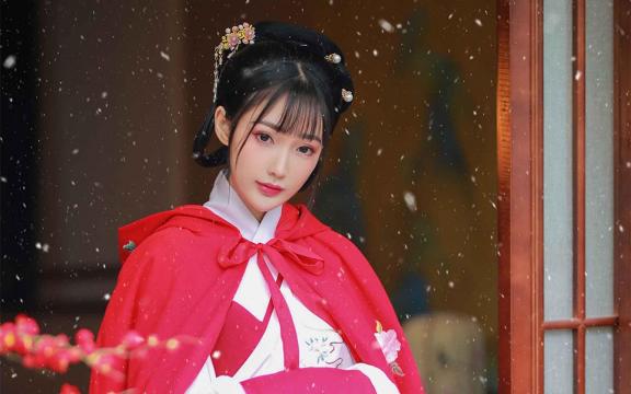 客厅适合摆放的十大植物(客厅放什么植物好风水十大客厅风水植物分享)