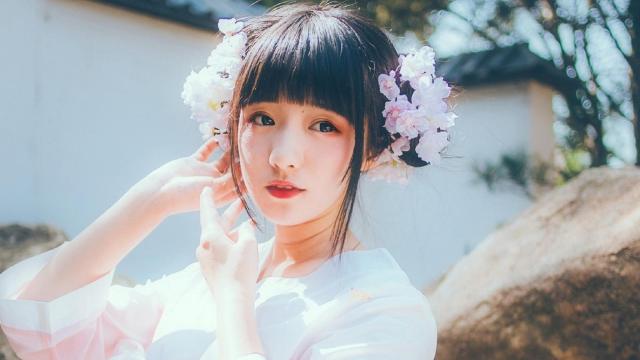 夏威夷果苗多少钱一株(我想问一下云南临沧有哪些土特产)