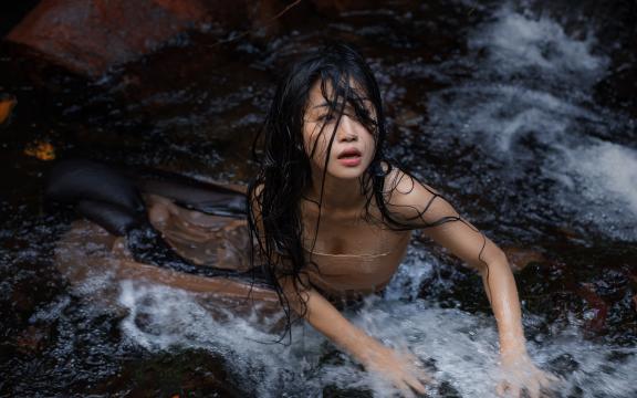 莲子怎么做不苦(莲子为什么是苦的莲子苦是怎么回事)