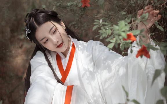大师级螃蟹烹饪技巧：教你做出口感鲜美的蟹肉料理